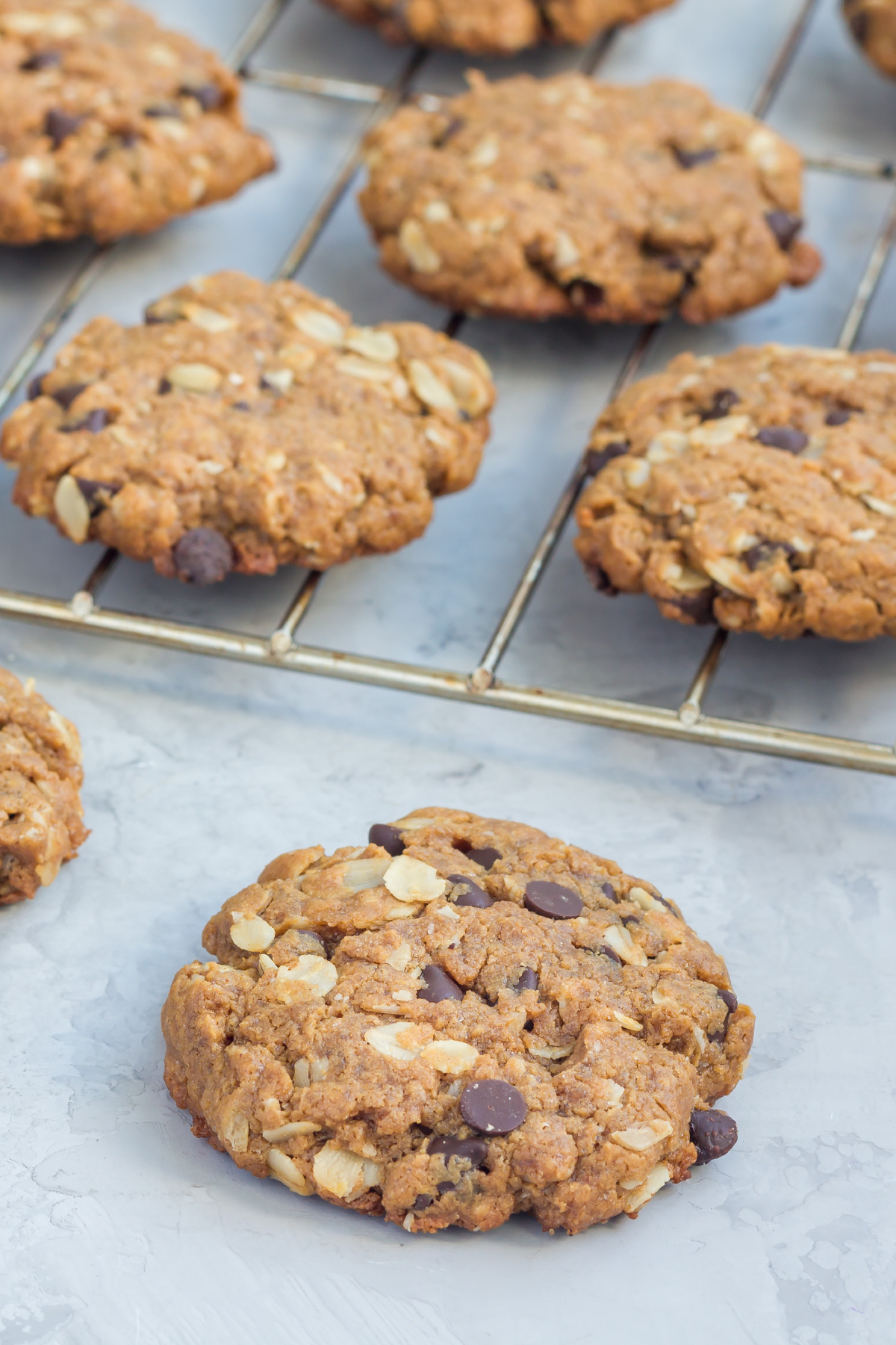 galletas de proteina