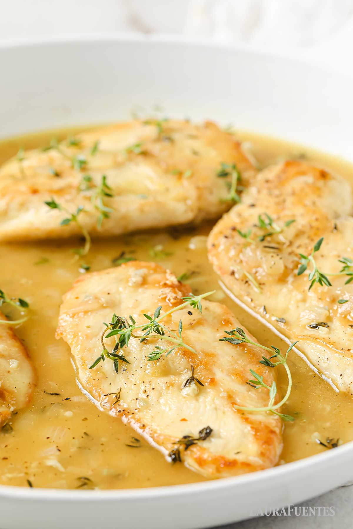 un plato con pollo en salsa de vino blanco.