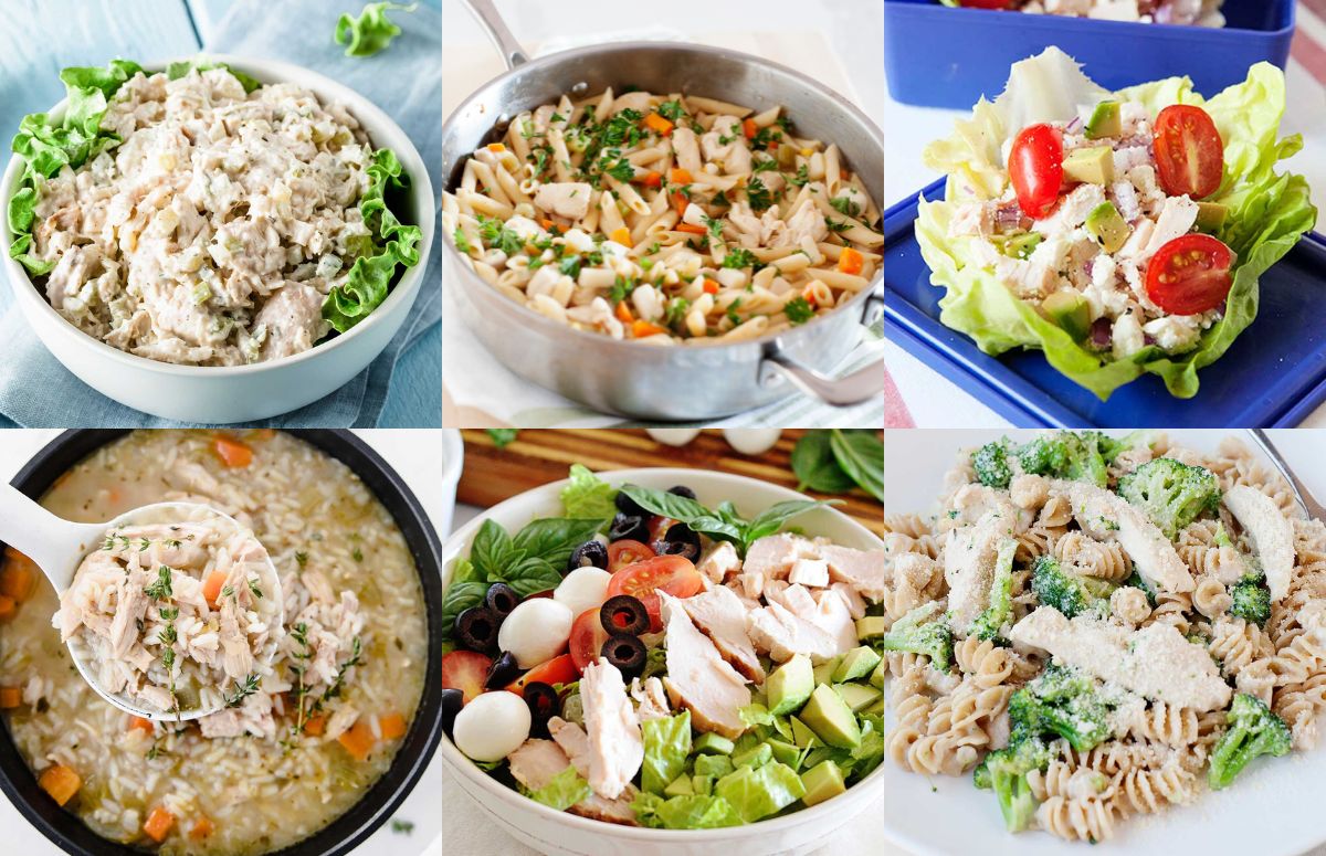 collage con seis fotos de recetas: arriba de izquierda a derecha, ensalada de pollo, pollo con verduras y wrap de pollo; abajo de izquierda a derecha, caldo de arroz, ensalada de dieta y pasta alfredo con brocoli